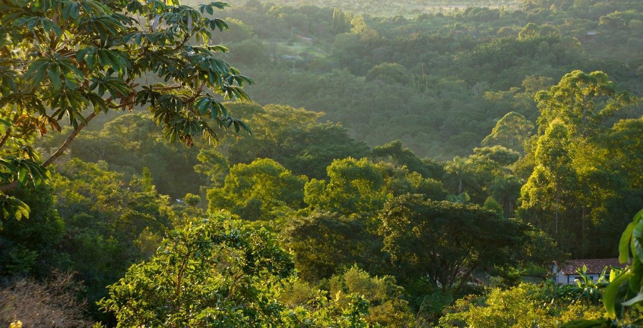 Cerrado Lodge Brasilia Bagian luar foto